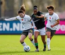 费耶诺德训练开放日；国际比赛日篮板制胜引欢呼；欧联在即；阵容厚度经受考验